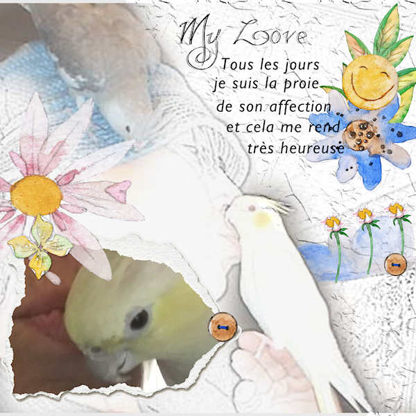 Lola mon amour