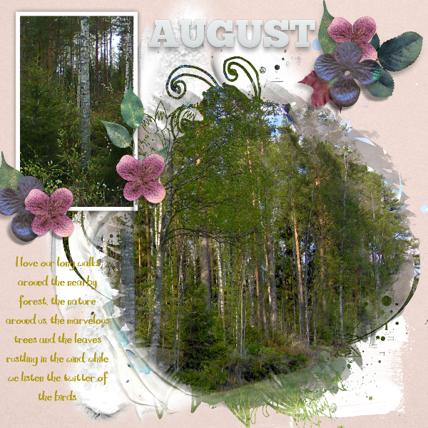 Long Forest Walk