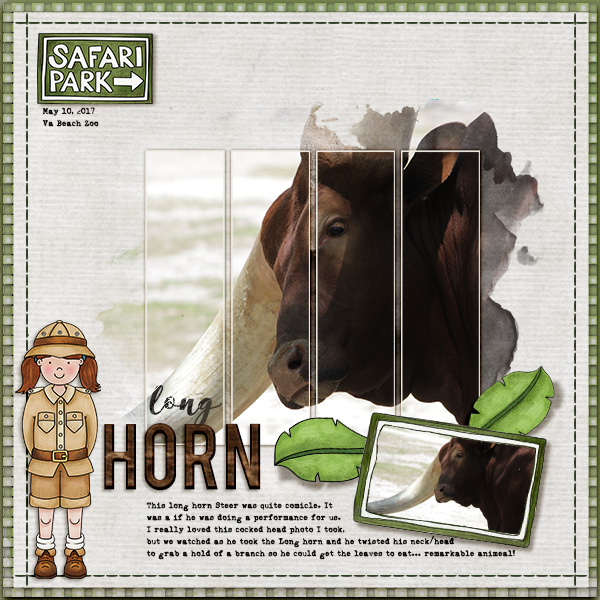 Long Horn