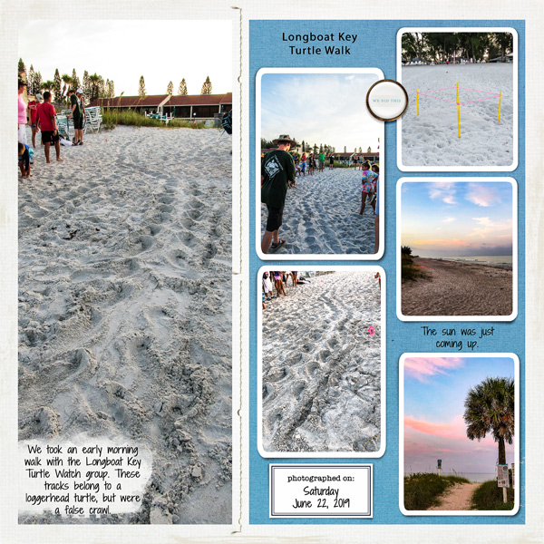 Longboat Key Turtle Walk