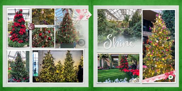 Longwood Gardens - More Trees