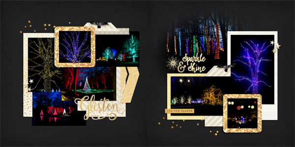 Longwood Gardens - Tree lights