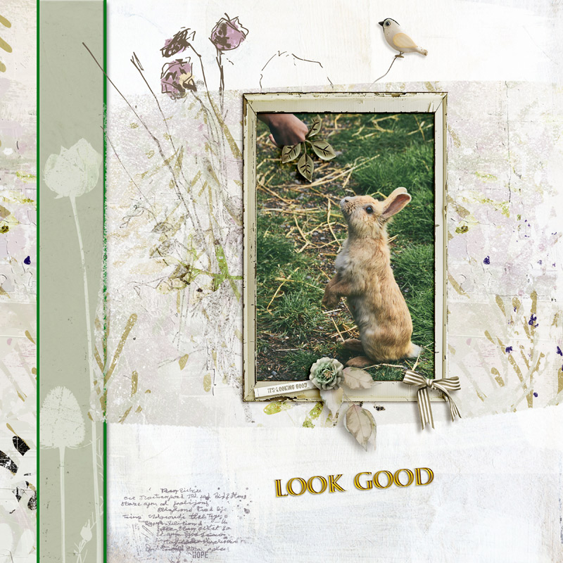 Look Good