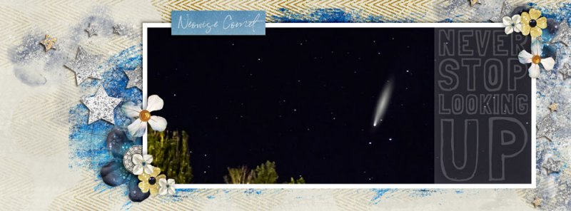 Look Up Neowise Comet