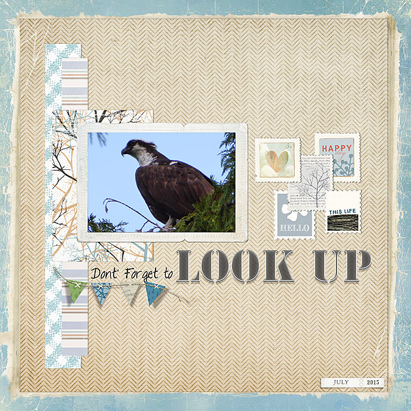 Look Up