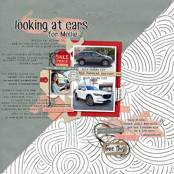 looking at cars for Mollie