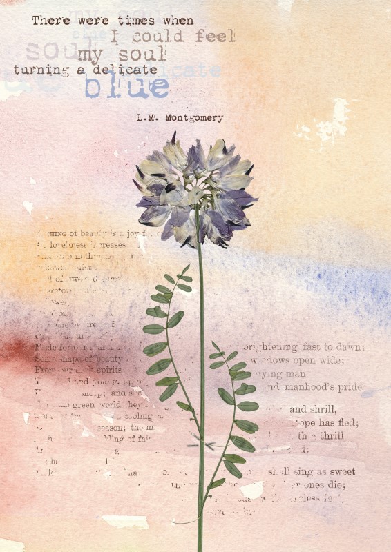 Looking blue