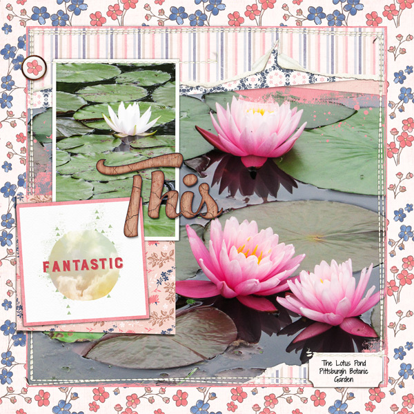 Lotus Pond