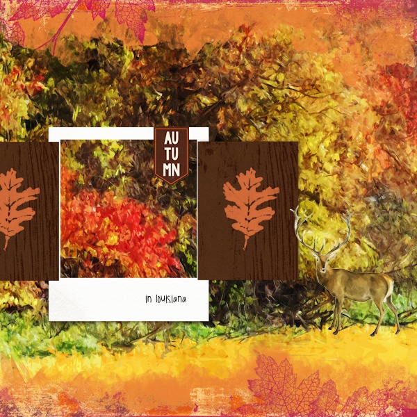 Louisiana-autumn-1