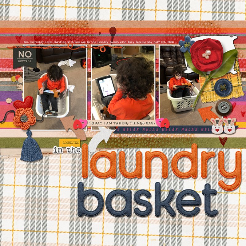 LoungingInTheLaundryBasket112020SOSNPRD