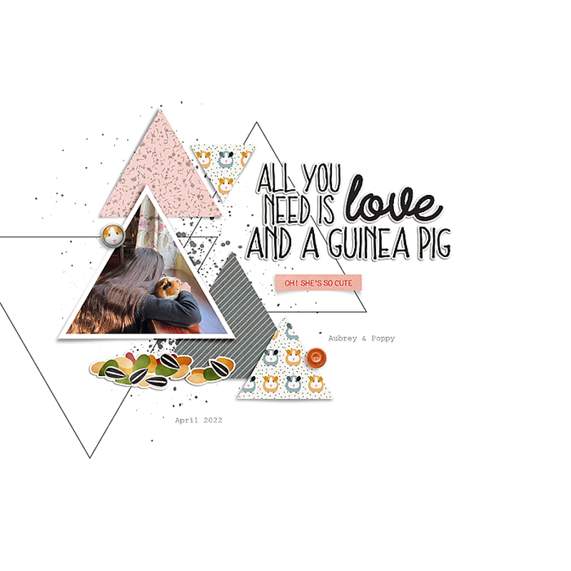 Love & A Guinea Pig