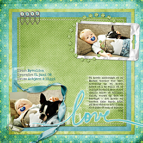 love between a dog and a boy