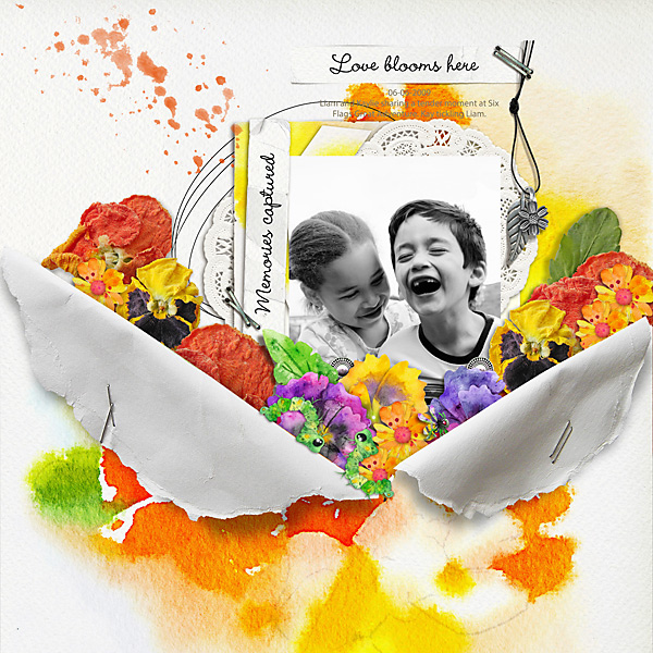 Love Blooms Here