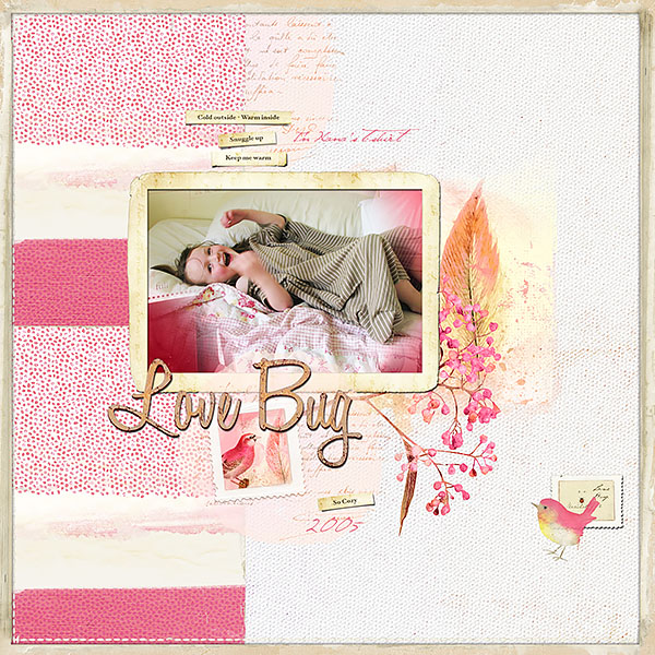Love Bug