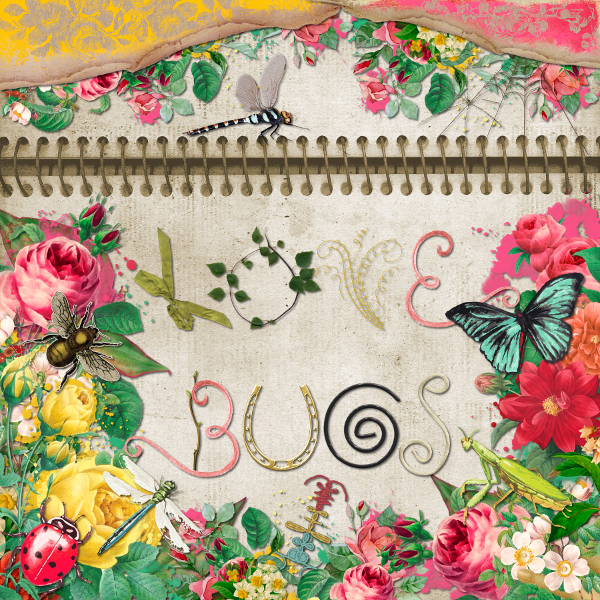 Love Bugs