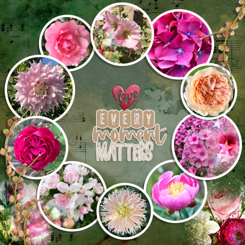 Love flowers