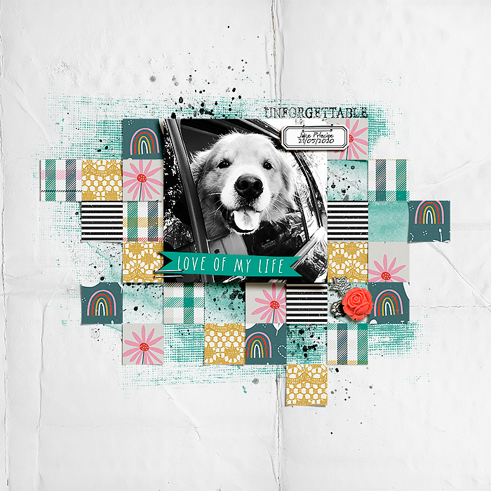 love of my life