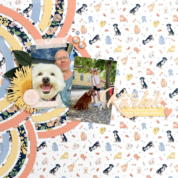 Love our dogs