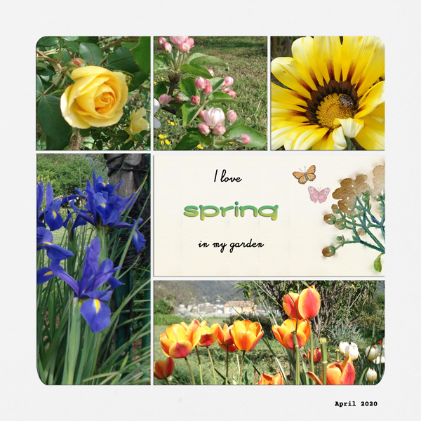 Love Spring in my Garden
