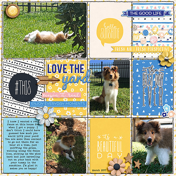 Love-the-Yard
