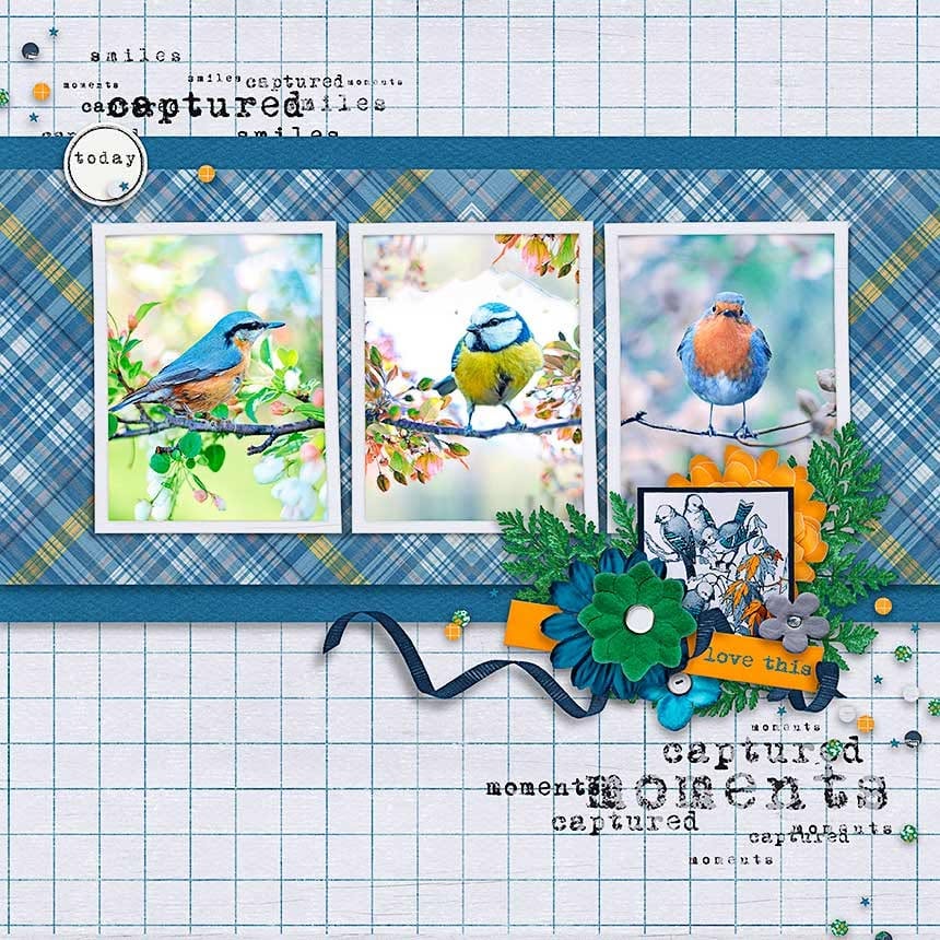 Love This Birds.jpg