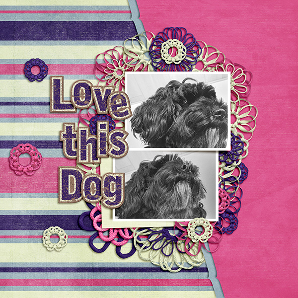 Love This Dog