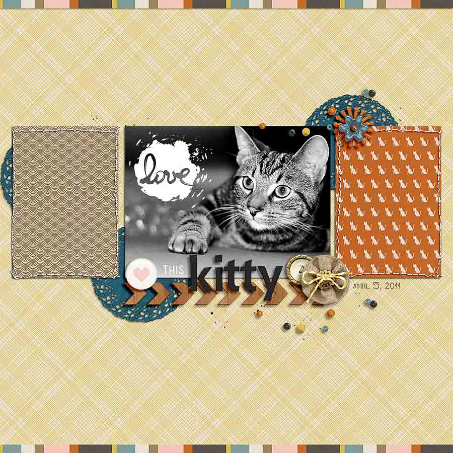 Love this kitty