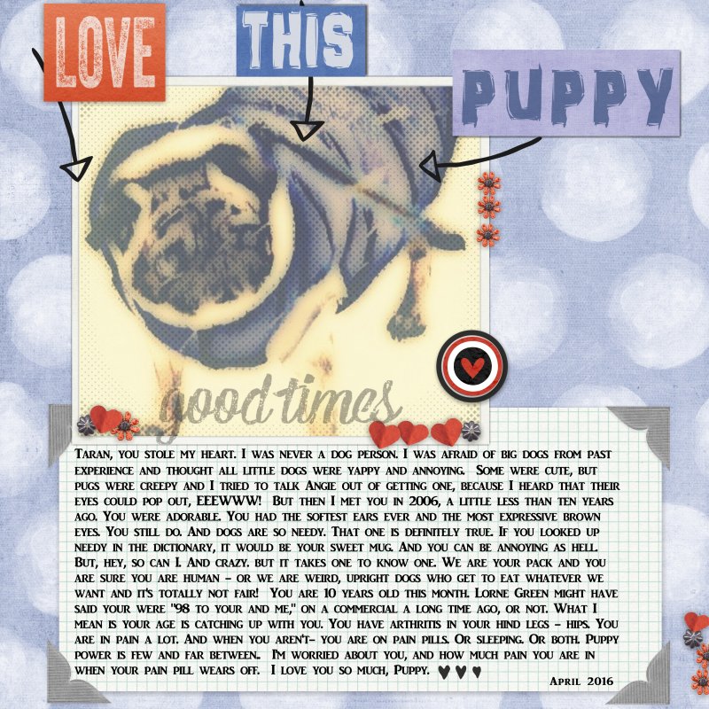 Love This Puppy
