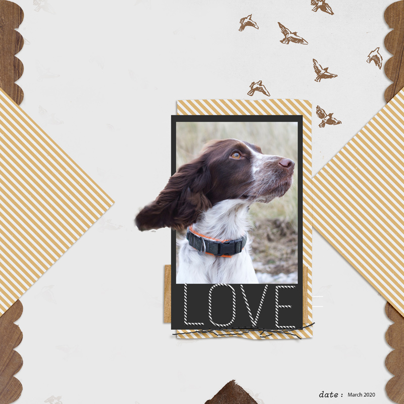 Love
