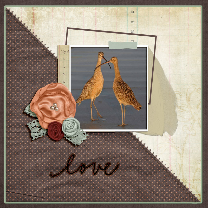 Love