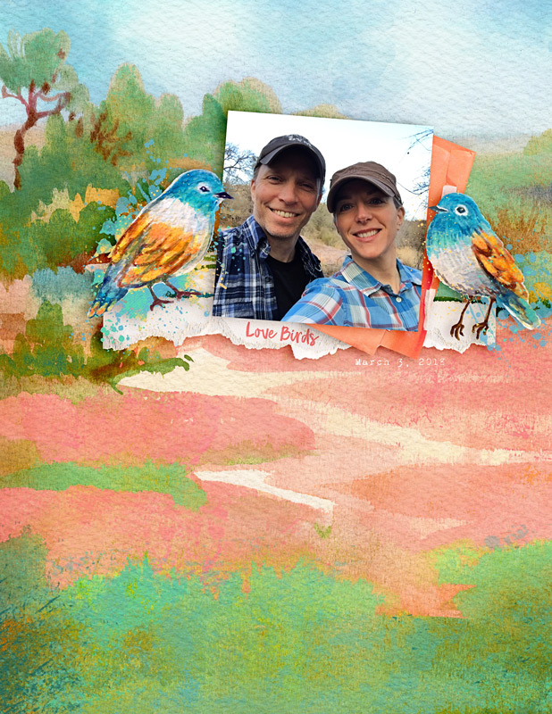 LoveBirds