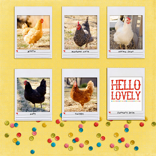 lovely chickies