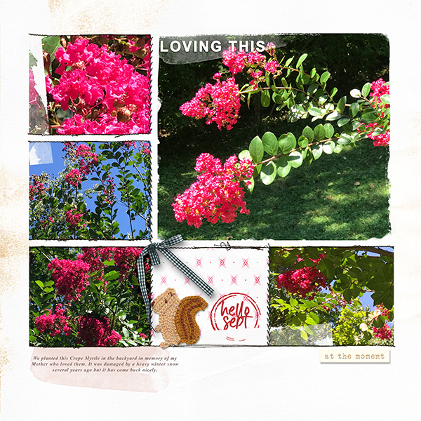 Loving the Blooms