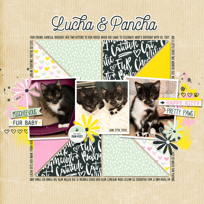 Lucha & Pancha