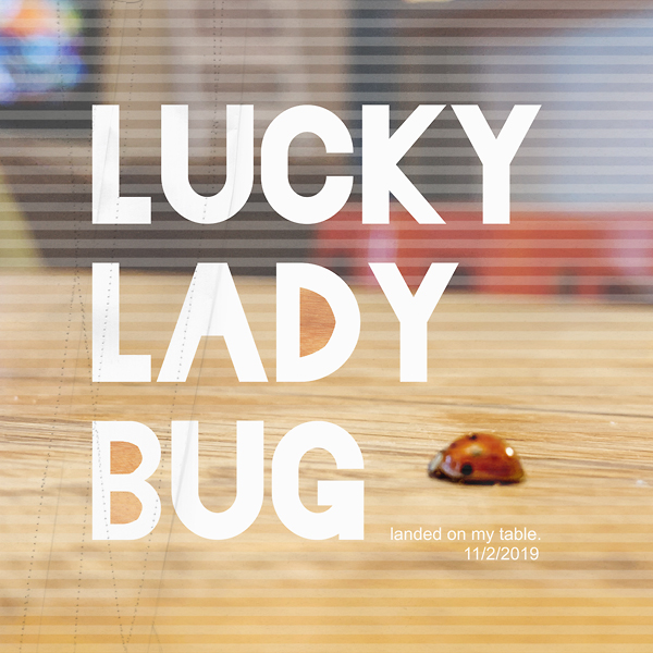 Lucky Lady Bug