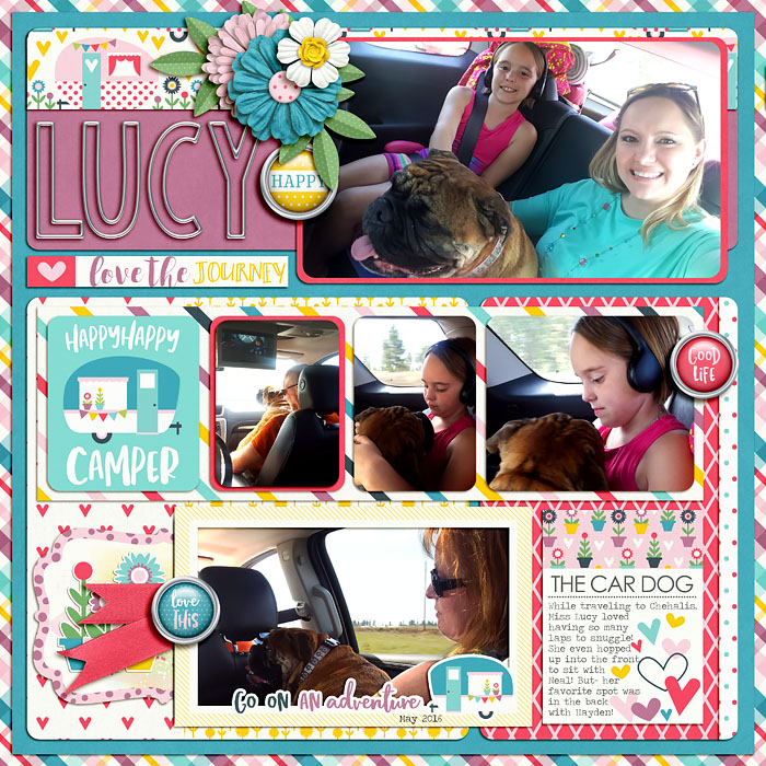 Lucy The Car Dog
