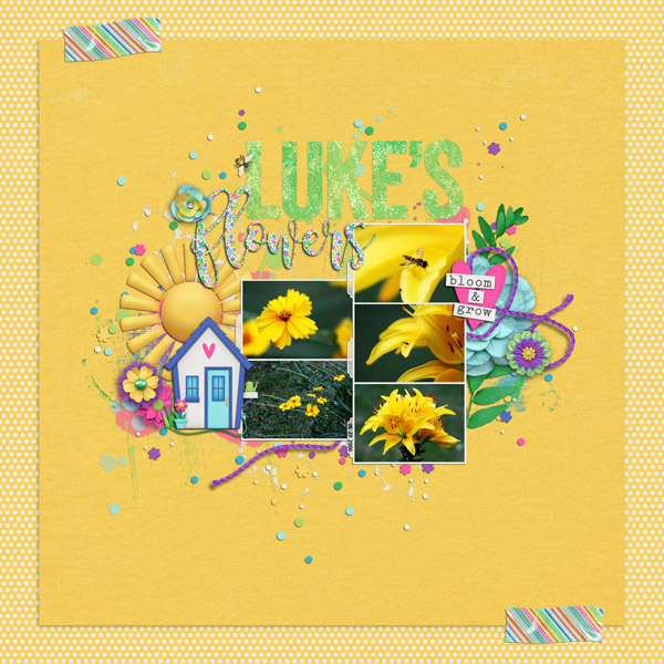 Luke's Flowers