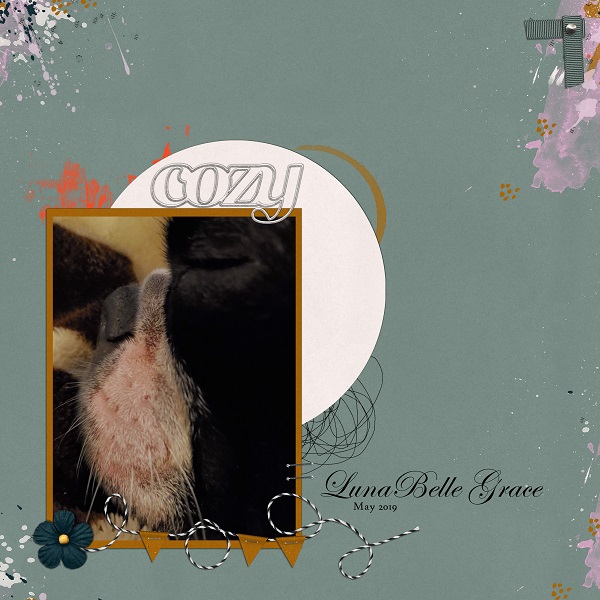 LunaBelle Grace - May Photography Challenge