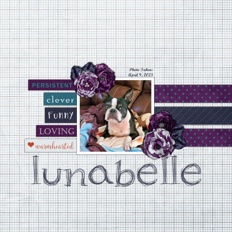 LunaBelle