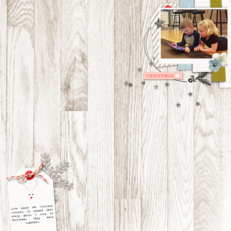 LV-TLP-1201-Scraplift-WEB