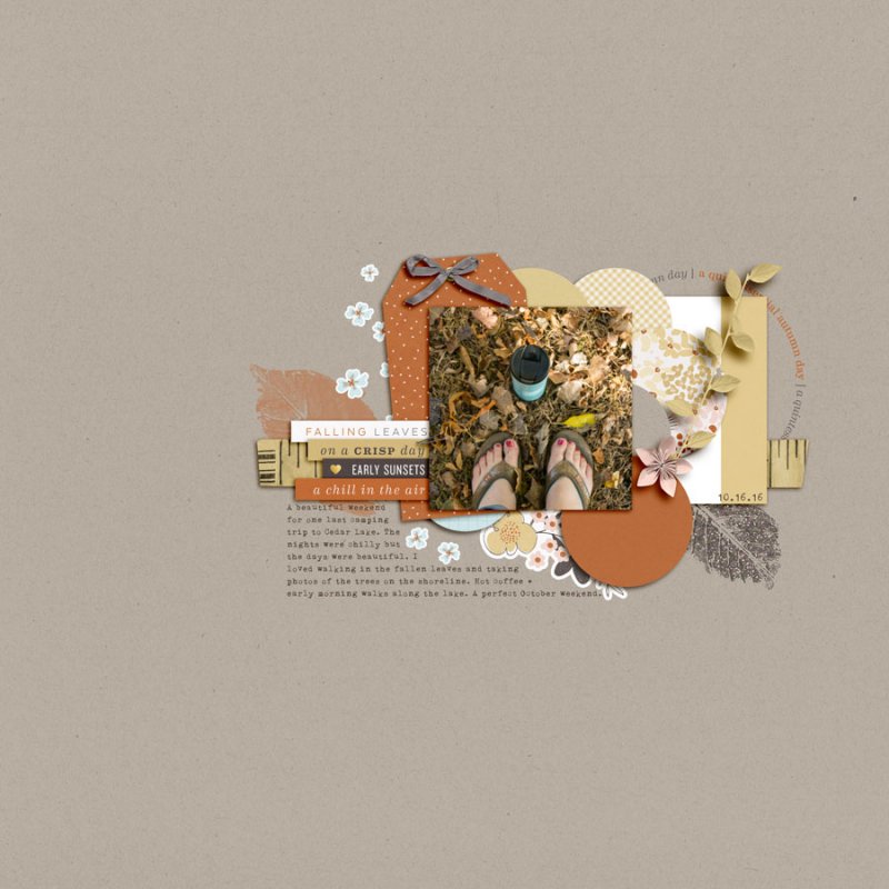 LV-TLP-1611-03Template-WEB