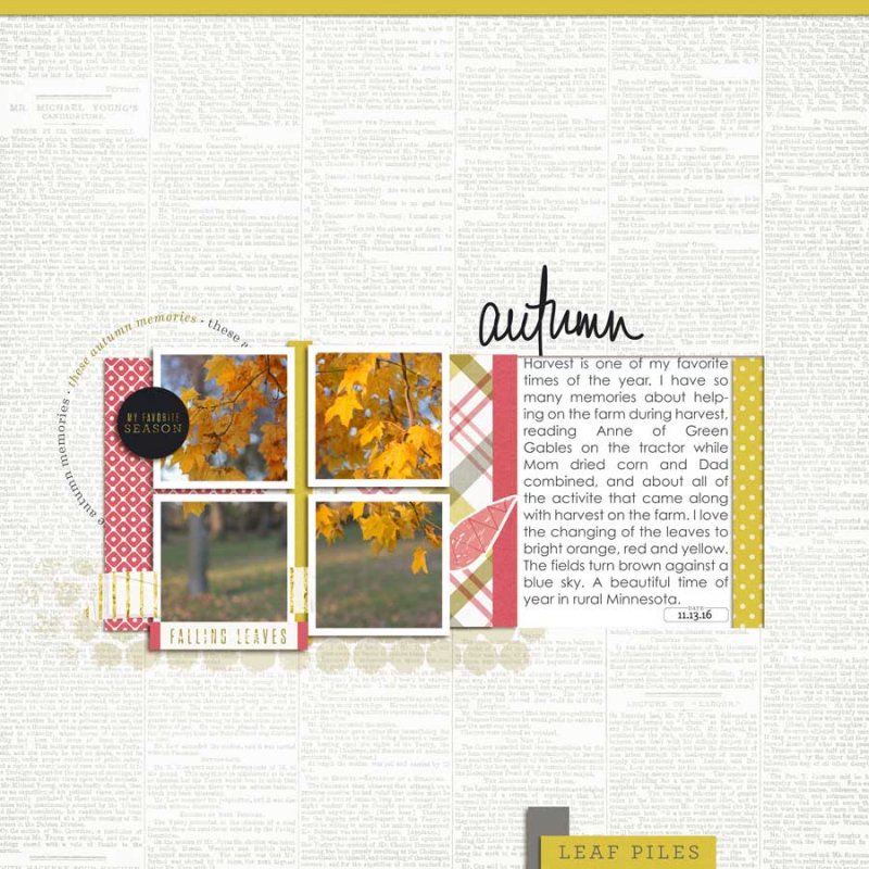 LV-TLP-1611-08Photography-WEB