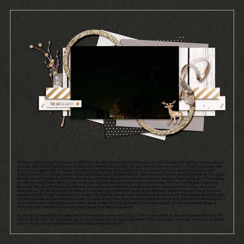 LV-TLP-1611-WEB