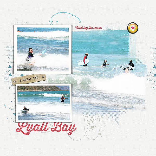 Lyall Bay