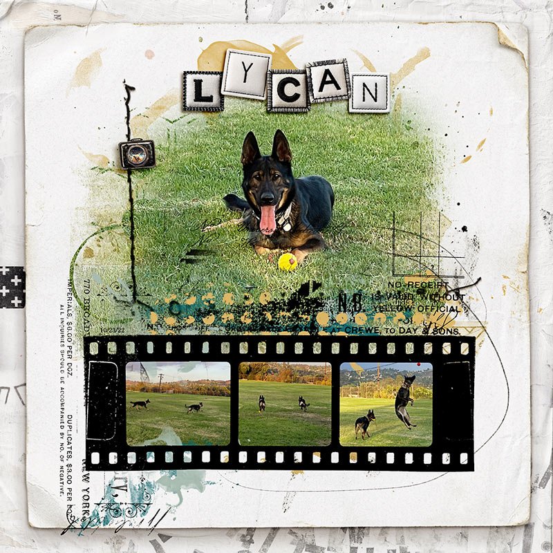 Lycan