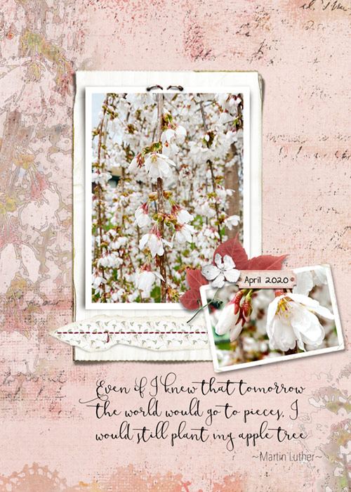 Lynn Grieveson Challenge_04-20_Recipe_AppleBlossomCard