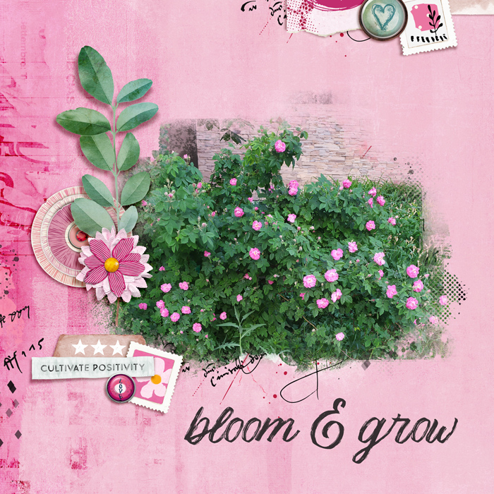 Lynn Grieveson Designs June Featured Products Challenge