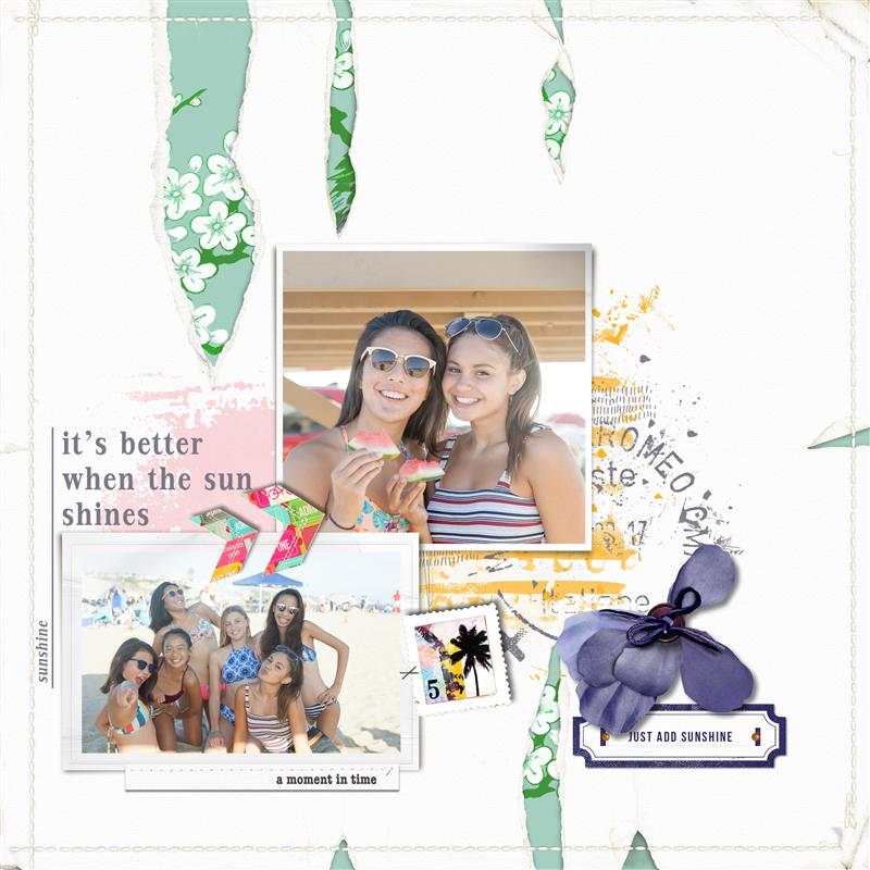 Lynn Grieveson July Challenge