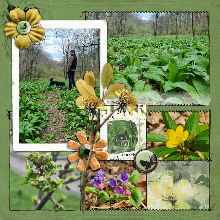 Lynn Grieveson March 2024 Challenge - GREEN