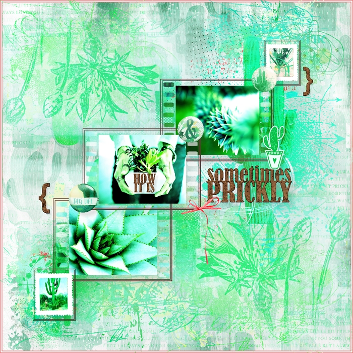Lynn Grieveson-March-Recipe Challenge-Cacti Green